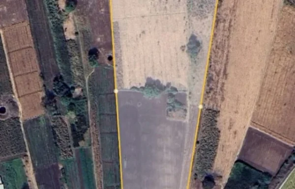 WhatsApp-Image-2025-10-02-at-11.10.28-640×427